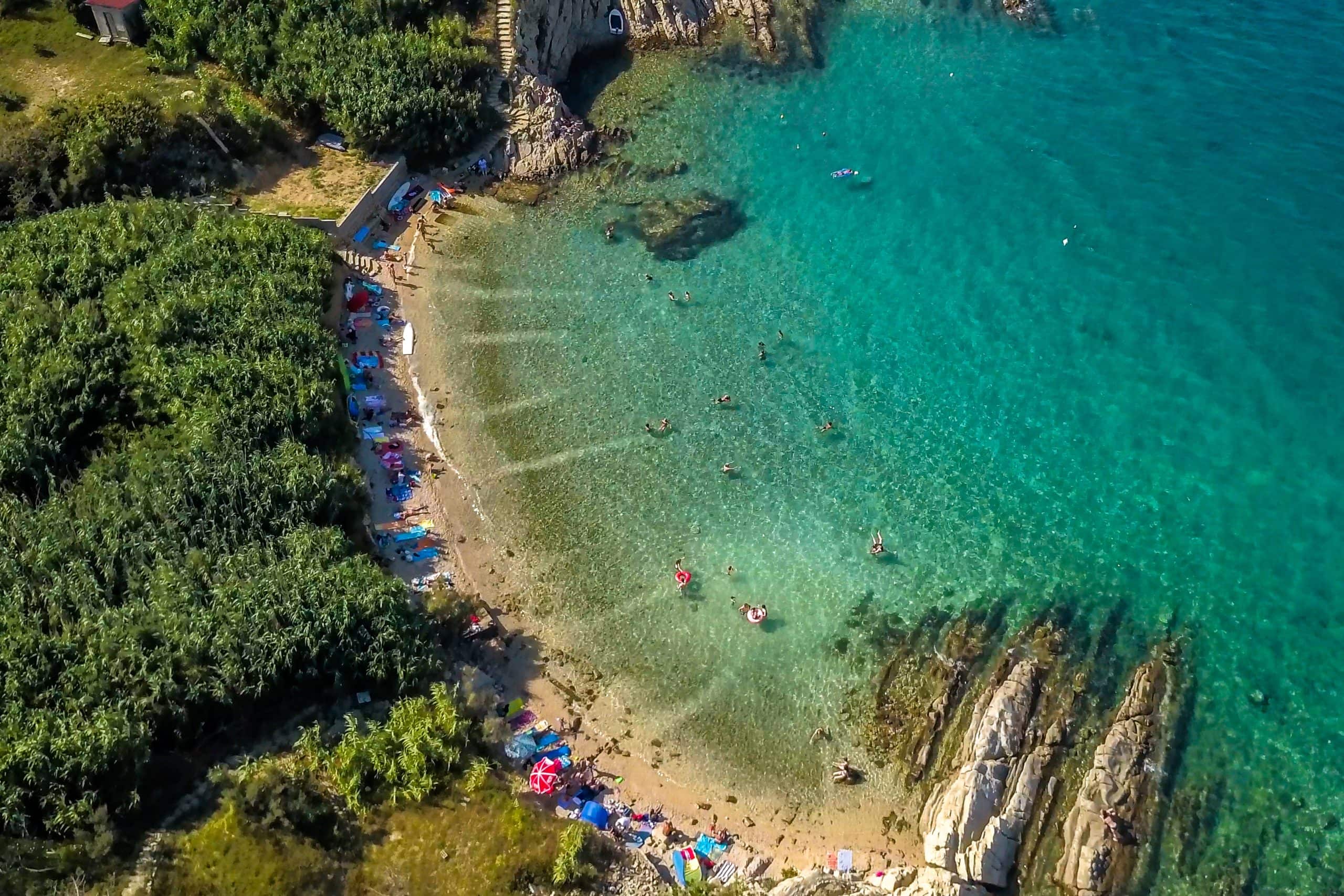 Bošana