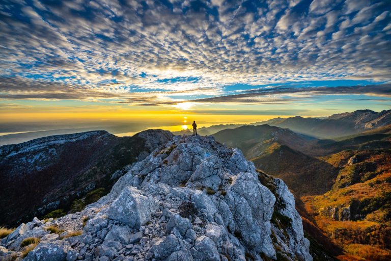 Striving for heights and beauty