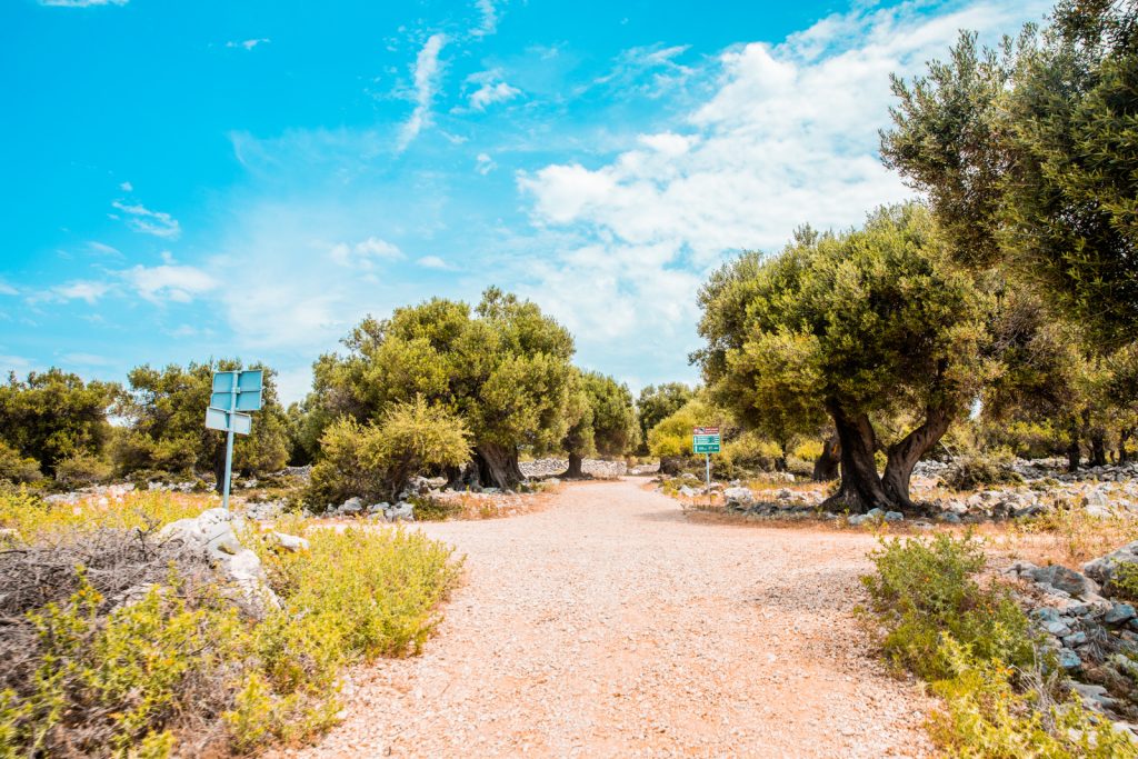 Pag Island - About Island